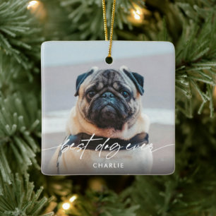 Ornamento De Cerâmica Melhor Cachorro Simples de Todos os Tempos 2 Foto