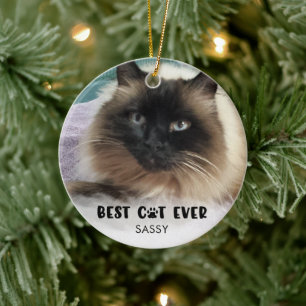 Ornamento De Cerâmica MELHOR GATO DE TODOS OS TEMPOS Foto Sobreposição P
