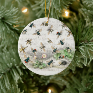 Ornamento De Cerâmica Melhor Rainha Abelha Entomologia Botânica Vintage
