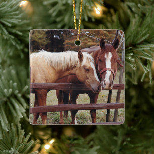 Ornamento De Cerâmica Melhores Amigos