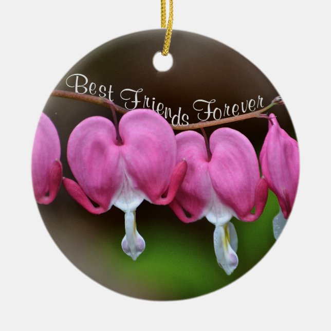 Ornamento De Cerâmica Melhores Amigos para Sempre (Frente)