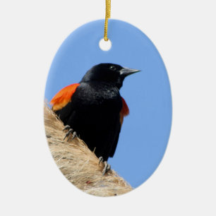 Ornamento De Cerâmica melro Vermelho-voado