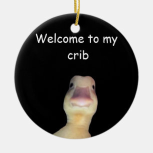 Ornamento De Cerâmica Meme de Pato Engraçado – “Bem-vindo ao Meu Quarto”