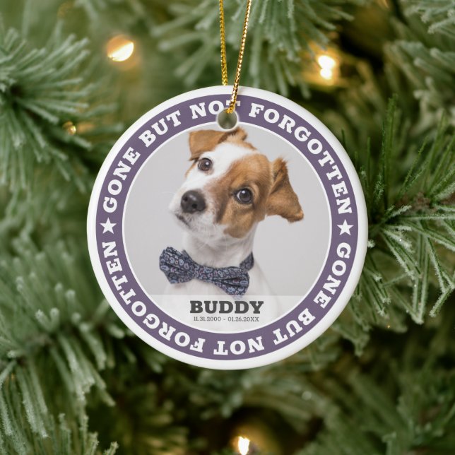 Ornamento De Cerâmica Memorial Cita Moderna Simpatia Foto Pet Foto Pet K (Árvore)