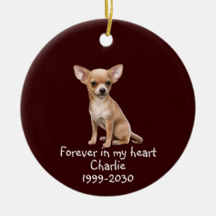 Ornamento De Cerâmica Memorial Keepsasaokê Pet Animal Personaliza Cerâ