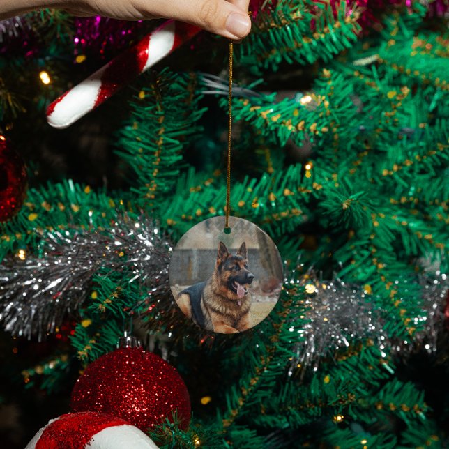 Ornamento De Cerâmica Memorial Personalizado de Gato Cachorro Foto (Criador carregado)