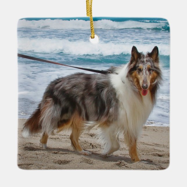 Ornamento De Cerâmica Merle Collie Dog na Praia (Frente)