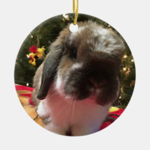 Ornamento De Cerâmica Merry Christmas every bun!