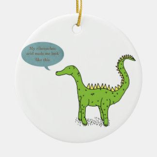 Ornamento De Cerâmica meu ácido ribonucléico fez-me olhar como este