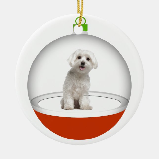 Ornamento De Cerâmica Meu melhor amigo - SRF (Frente)