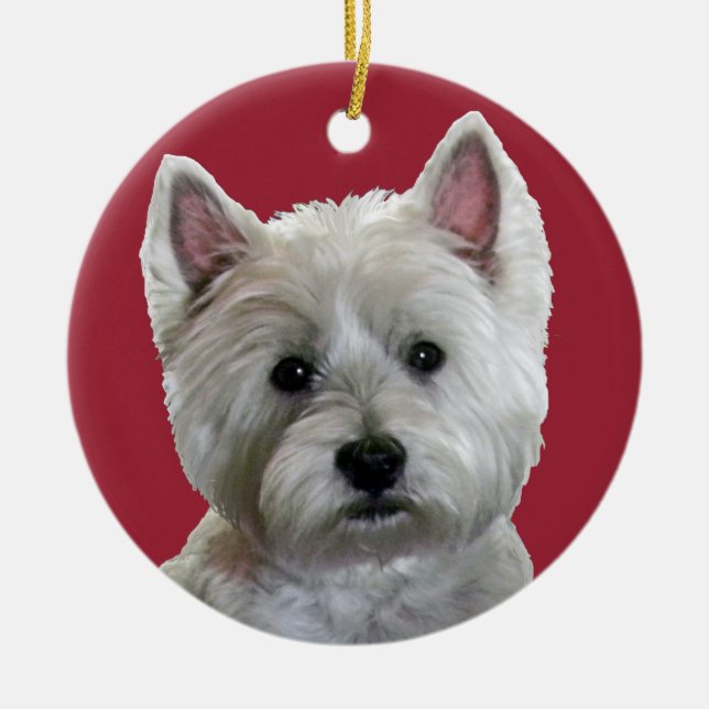 ORNAMENTO DE CERÂMICA MEU WESTIE PERFEITO (Frente)