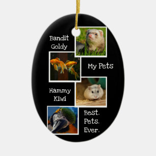 Ornamento De Cerâmica Meus Pets Colagem de Fotos Melhores Pets Já Diver