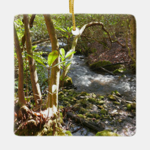 Ornamento De Cerâmica Mingus Creek nas Smoky Mountains