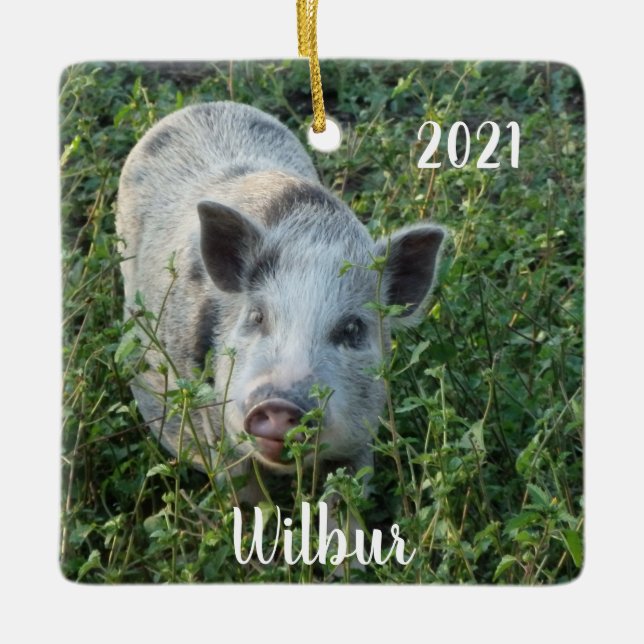 Ornamento De Cerâmica Mini Juliana Pet Pig Personalizada (Frente)
