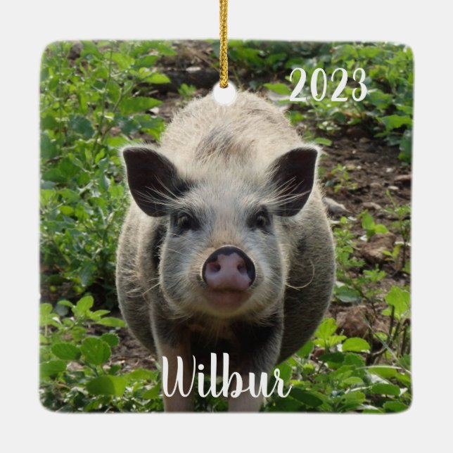 Ornamento De Cerâmica Mini Juliana Pet Pig Personalizado #2 (Verso)