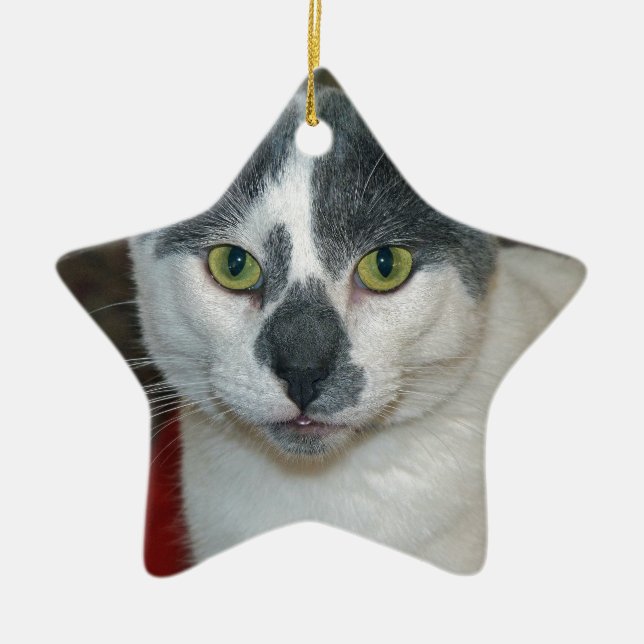 Ornamento De Cerâmica Mister Pants (Frente)