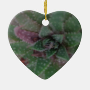 Ornamento De Cerâmica Mistura Suculenta, Roxo Verde, Natureza, Flora