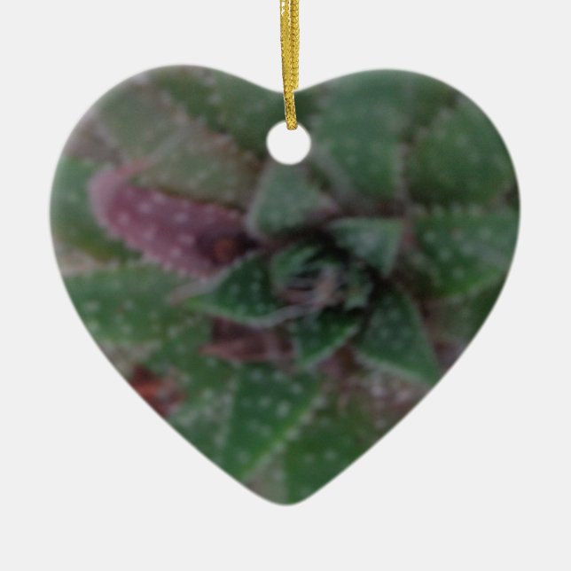 Ornamento De Cerâmica Mistura Suculenta, Roxo Verde, Natureza, Flora (Frente)