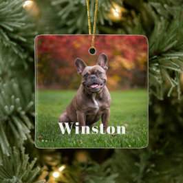 Ornamento De Cerâmica Modern Custom Pet Name Photo Holiday
