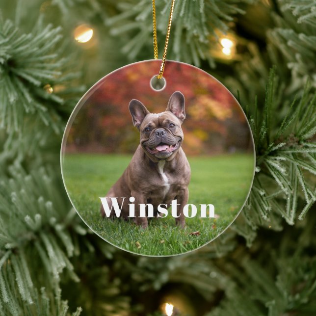 Ornamento De Cerâmica Modern Custom Pet Name Photo Holiday (Árvore)