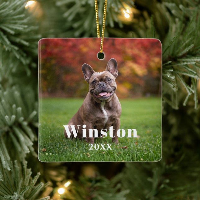 Ornamento De Cerâmica Modern Custom Pet Name Year Photo Holiday (Árvore)