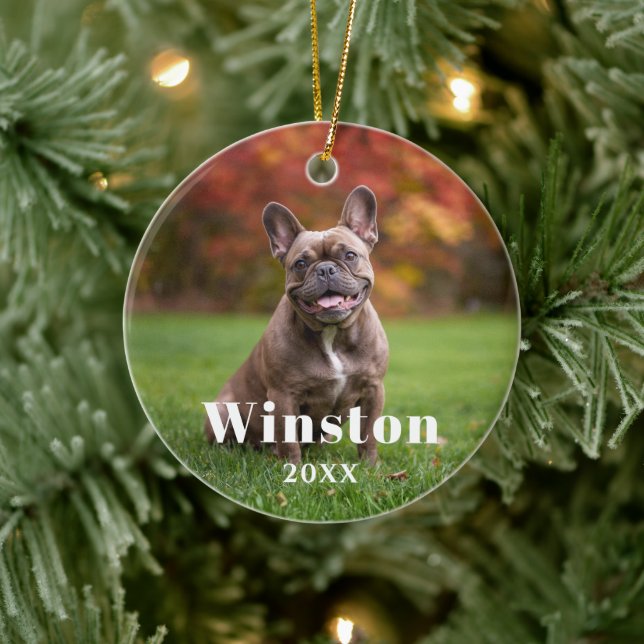 Ornamento De Cerâmica Modern Custom Pet Name Year Photo Holiday (Árvore)