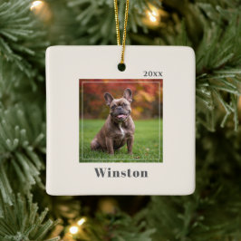 Ornamento De Cerâmica Modern Ivory Custom Pet Name Photo