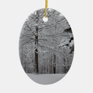 Ornamento De Cerâmica Modo de Exibição de Woods