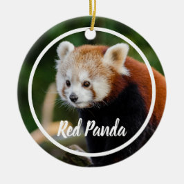 Ornamento De Cerâmica Moldura Fofa de Panda Vermelho