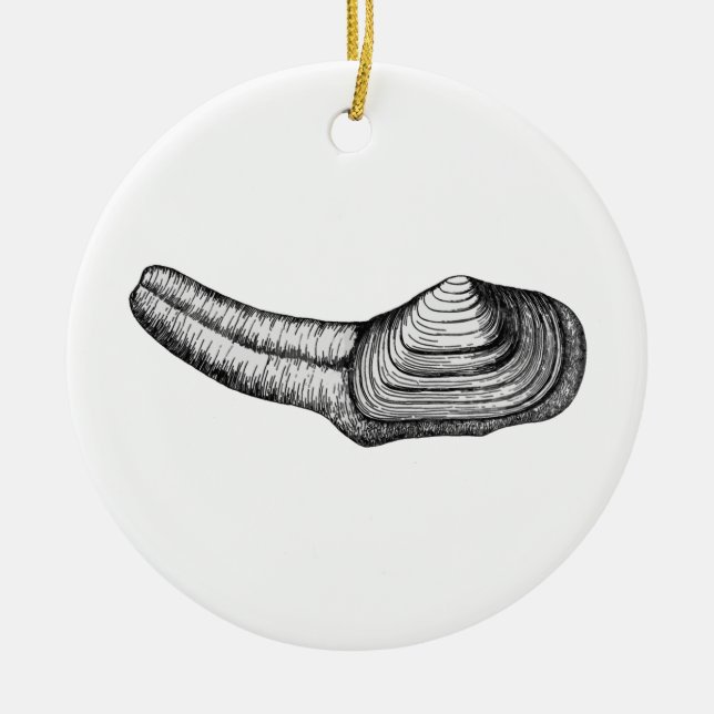 Ornamento De Cerâmica Moluscos de Geoduck (ilustração preto e branco) (Frente)