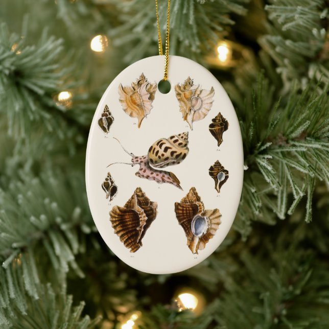 Ornamento De Cerâmica Moluscos e Caracóis, Organismos de Vida Marinha An (Árvore)