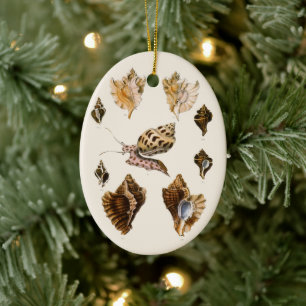 Ornamento De Cerâmica Moluscos e Caracóis Vintage, Organismos da Vida Ma