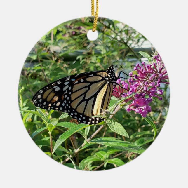 Ornamento De Cerâmica Monarch Butterfly Ornament (Frente)