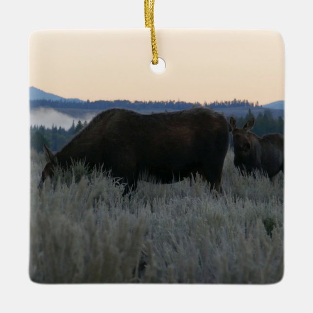 Ornamento De Cerâmica Moose Grazing at Sunrise em Grand Teton (Frente)