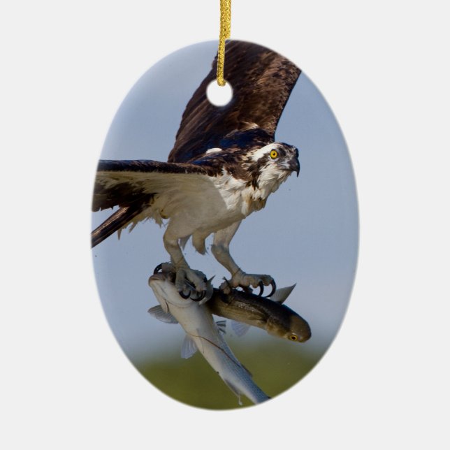 Ornamento De Cerâmica Mostrar fora (Frente)