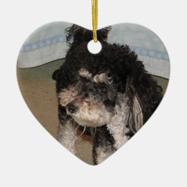 Ornamento De Cerâmica Moxie surpreendente (Frente)