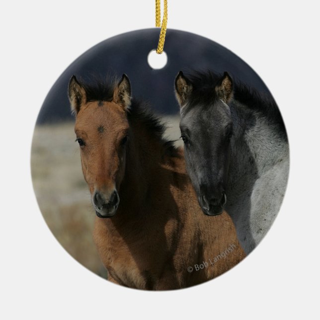 Ornamento De Cerâmica Mustang Foal Headshot (Frente)
