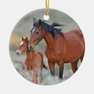 Ornamento De Cerâmica Mustang selvagens na passagem de Altamont