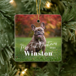 Ornamento De Cerâmica My First Christmas Custom Pet Name Photo