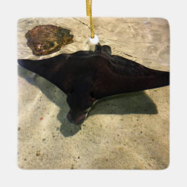 Ornamento De Cerâmica Mystical Stingray