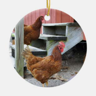 Ornamento De Cerâmica Na fazenda