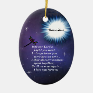 Ornamento De Cerâmica Na libélula clara