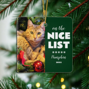 Ornamento De Cerâmica Na Lista Legal, Foto De Pet De Gato De Natal