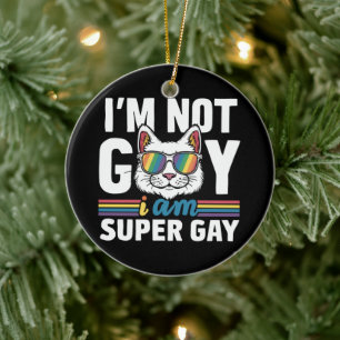 Ornamento De Cerâmica Não Sou Gay Sou Super Gay LGBT Orgulho Gay Gato