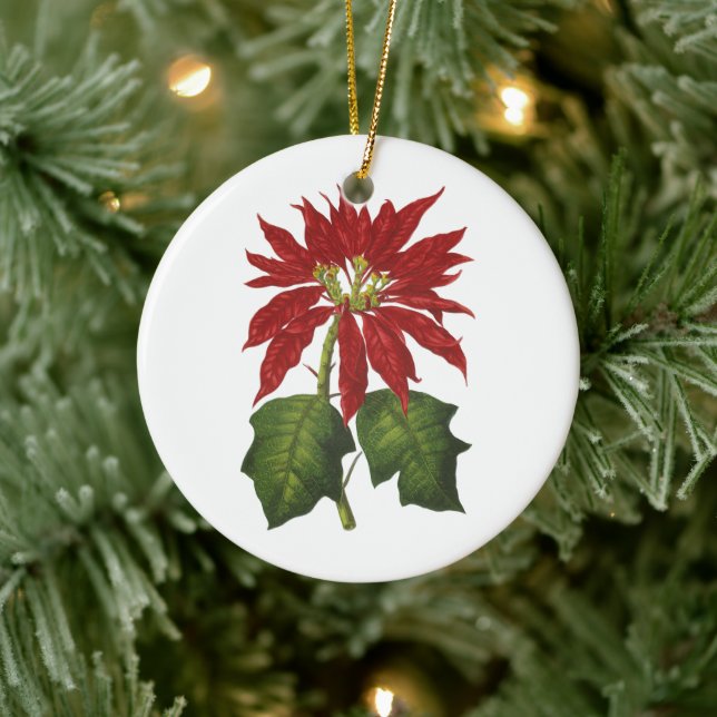 Ornamento De Cerâmica Natal Antigo, Planta de Inverno Poinsettia Vermelh (Árvore)