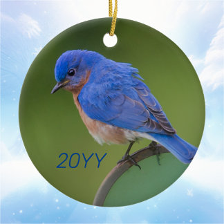 Ornamento De Cerâmica Natal anual do Bluebird