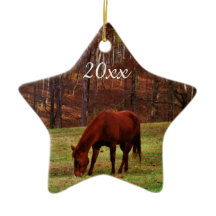 Natal de Ano Foto Personalizada de Pet ou Cavalo