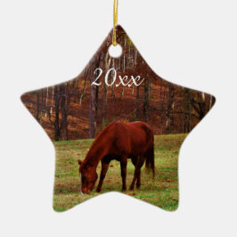 Ornamento De Cerâmica Natal de Ano Foto Personalizada de Pet ou Cavalo