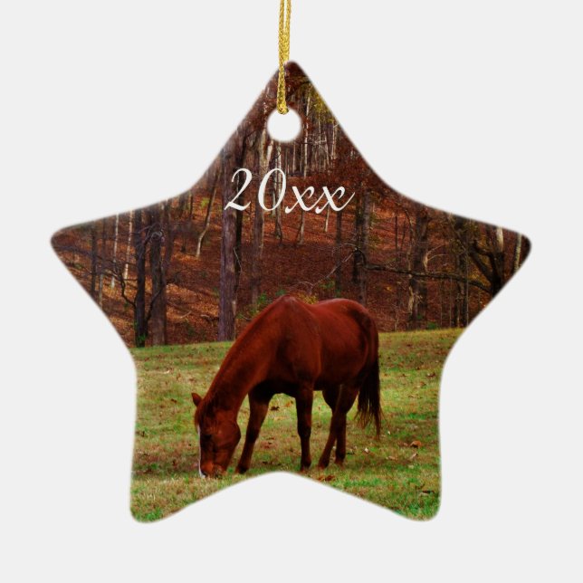 Ornamento De Cerâmica Natal de Ano Foto Personalizada de Pet ou Cavalo (Frente)