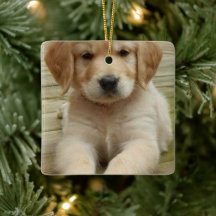 Natal de imagem dupla personalizada